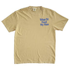 WIFMM T-$HIRT